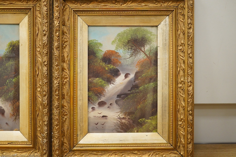 20th century school, pair of gouaches, Waterfalls, 30 x 19cm, housed in ornate gilt frames. Condition - good